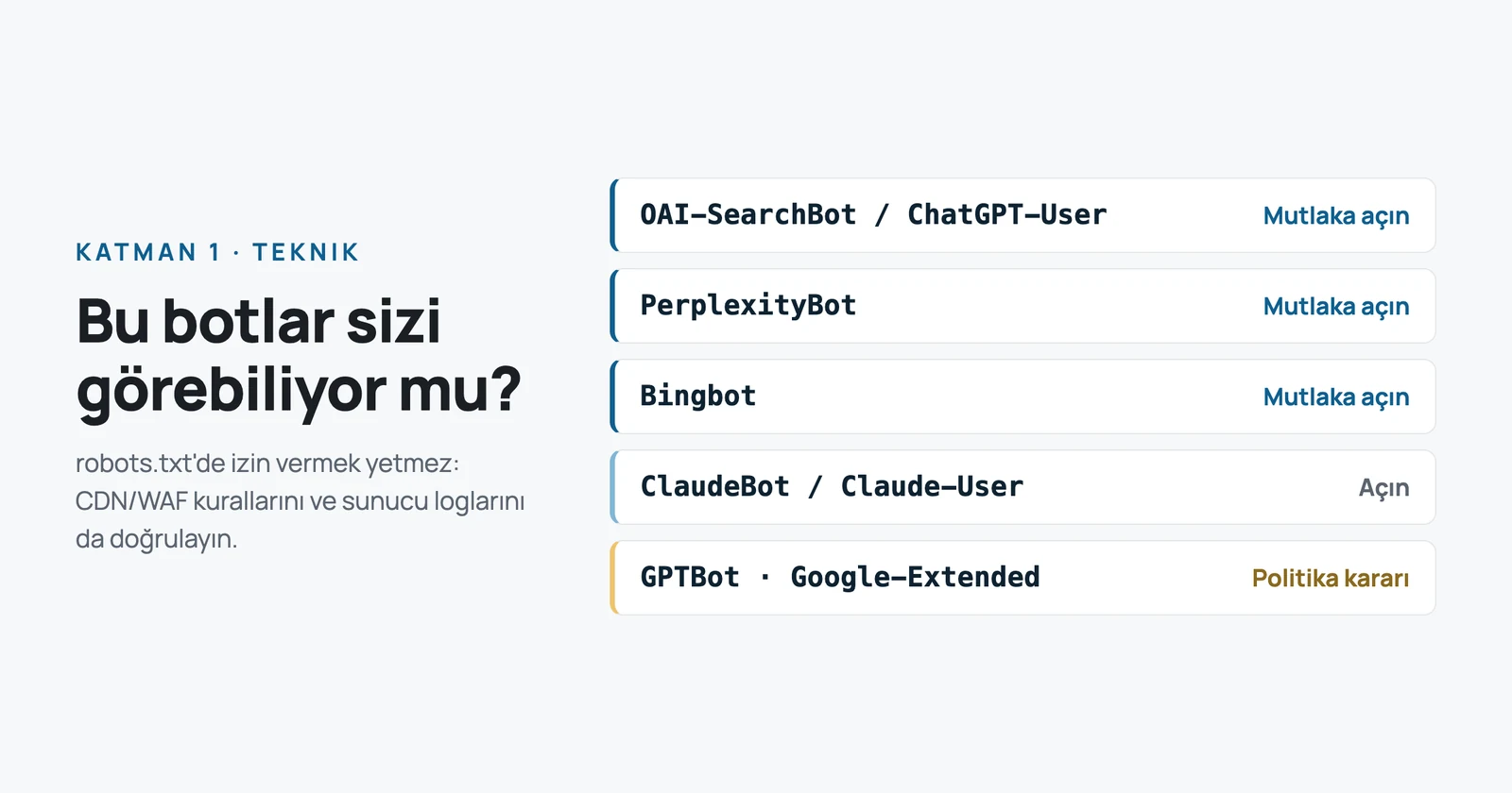 Yapay zeka botlarına erişim: OAI-SearchBot / ChatGPT-User, PerplexityBot, Bingbot mutlaka açılmalı; ClaudeBot açılmalı; GPTBot ve Google-Extended politika kararı